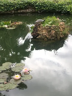 ピサ植物園