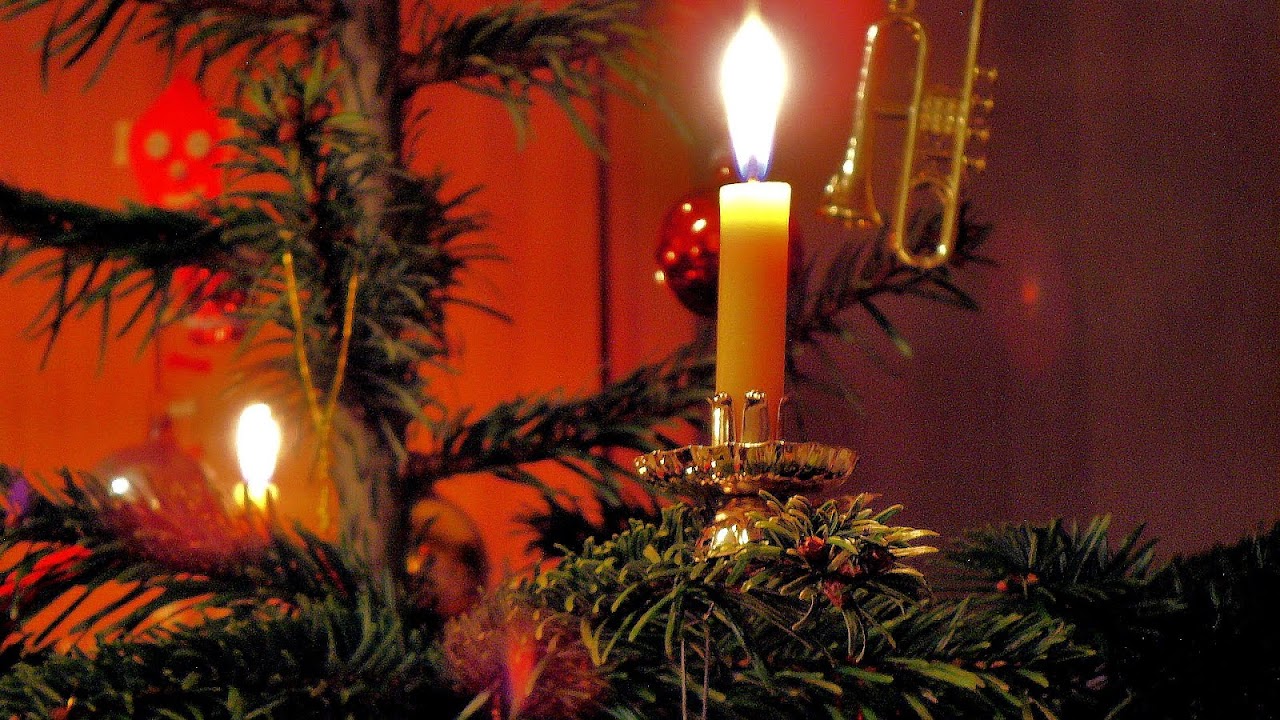 German Christmas Tree Candles