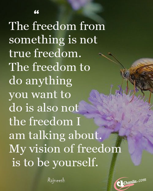 Quotes on Freedom, Freedom quotes, best Freedom quotes, quotes about Freedom, best teaching quotes, life quotes, best quotes, motivational quotes, amazing Freedom  quotes, Amazing quotes, amazing teaching quotes.good Freedom quotes, inspirational quotes, quotes, all Freedom quotes, Deep quotes, deep Freedom quotes, emotional quotes, best emotional quotes.encouraging quotes, Inspirational quotes. Freedom quotes, future quotes, focus quotes.good quotes. life changing Quotes, life quotes, quotes to get success. Love quotes, relationship quotes,famous quotes