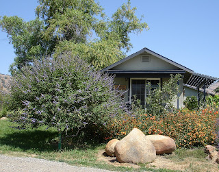 lavender-gift-shop-with-vitex-gallairdia-and-boulders