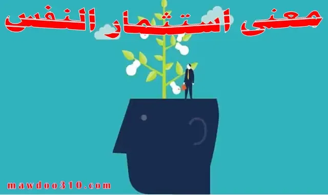 معنى استثمار النفس