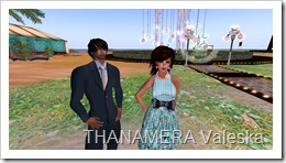 Snapshot_005