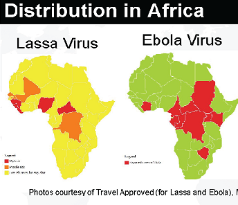 Lassa fever and Ebola fever causes in Africa