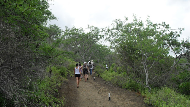 hike in floreana galapagos