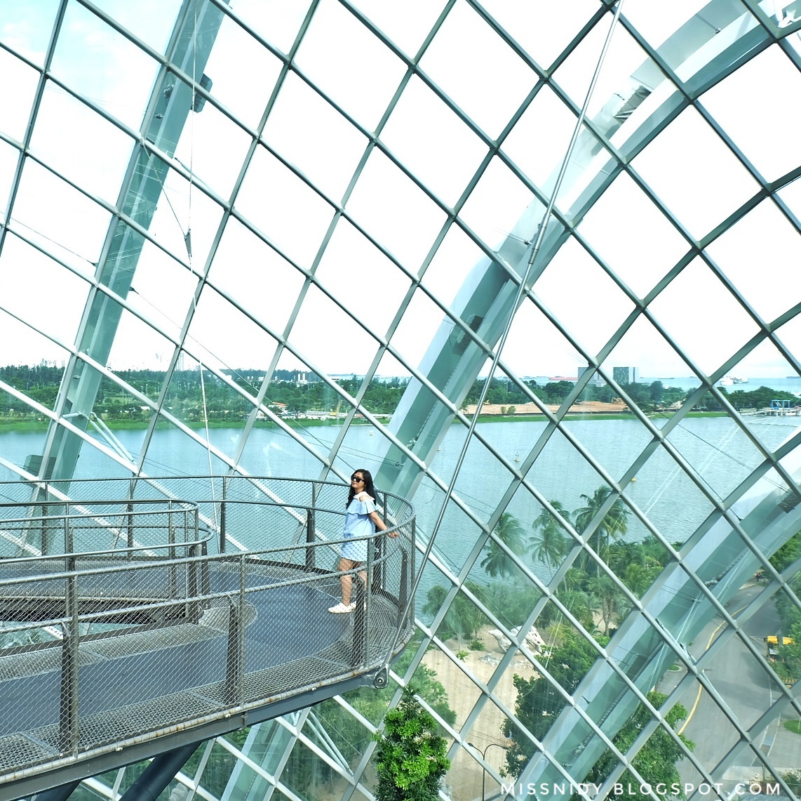 cloud forest garden by the bay