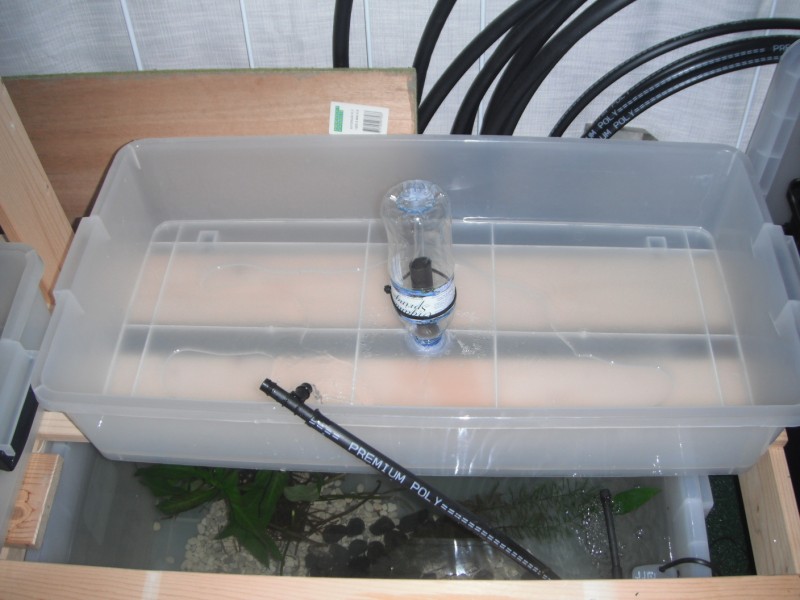 Finally got my aquaponics system up and running.