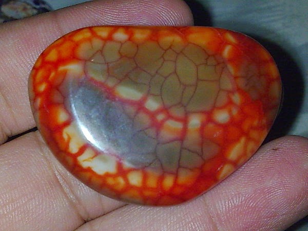 Foto Ini Batu Akik sisik naga dari Enrekang Sulawesi
