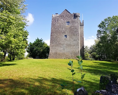 Redwood Castle, Lorrha Tipperary.