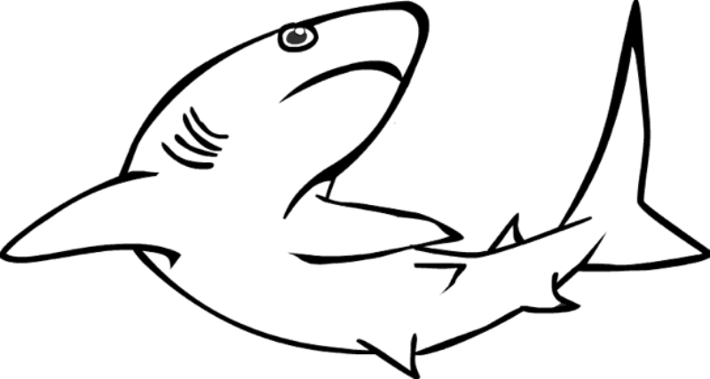 Halaman belajar mewarnai gambar binatang ikan hiu