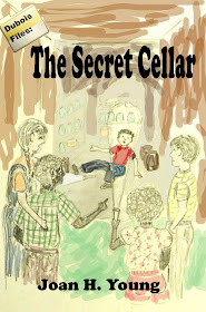 concept cover for The Secret Cellar