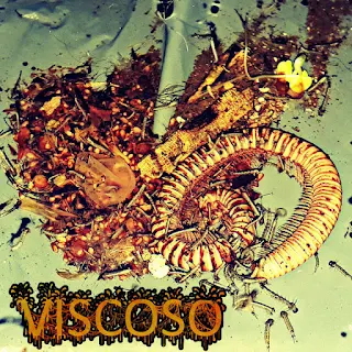 Viscoso - Viscoso (2019)