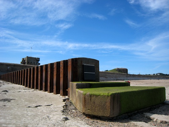 Fort Henry