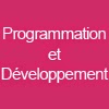 Les métiers de l'internet et du Web dans la programmation et le développement