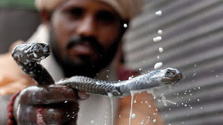 nag panchami hd images and celebration