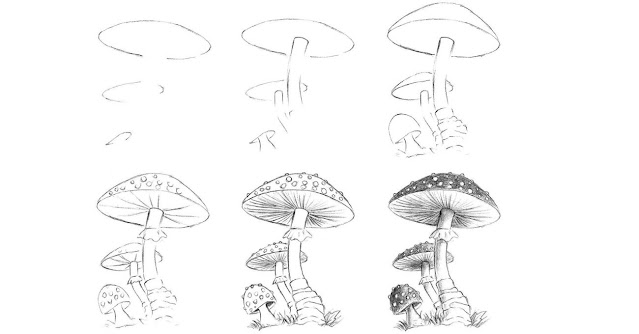 mushroom-drawing