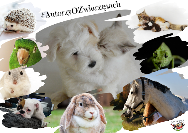 Autorzy o zwierzętach - Katarzyna Kielecka 