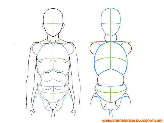 Construction du torse d'un personnage de manga avec une comparaison en 3d pour visualiser les axes de rotation