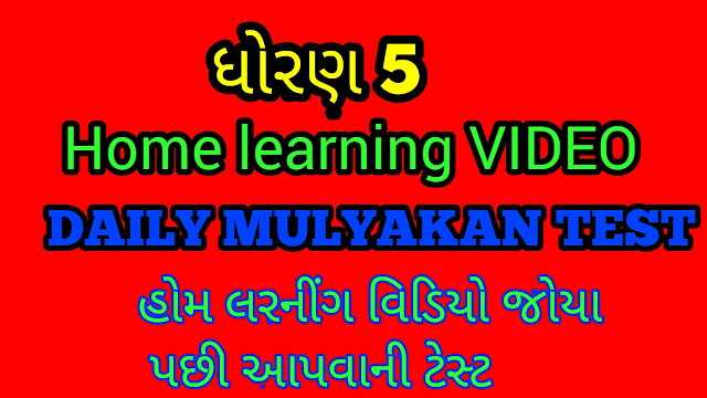 STD 5 HOME LEARNING DAILY MULYANKAN TEST