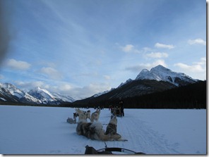 IMG_2179 IMG_2179