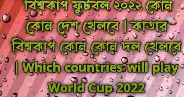 বিশ্বকাপ ফুটবল ২০২২ কোন কোন দেশ খেলবে,কাতার বিশ্বকাপ কোন কোন দল খেলবে