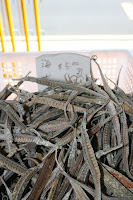 dried sea horses