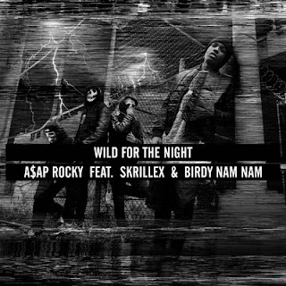 A$AP Rocky Featuring Skrillex & Birdy Nam Nam  - Wild For The Night