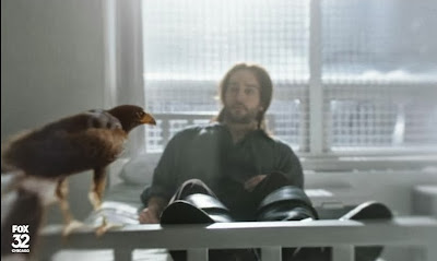 Sleepy Hollow Ichabod bird