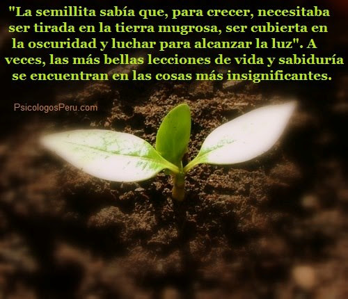 FRASE DE REFLEXION PARA CRECER