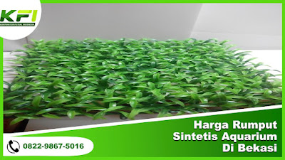 Harga Rumput Sintetis Aquarium Di Bekasi