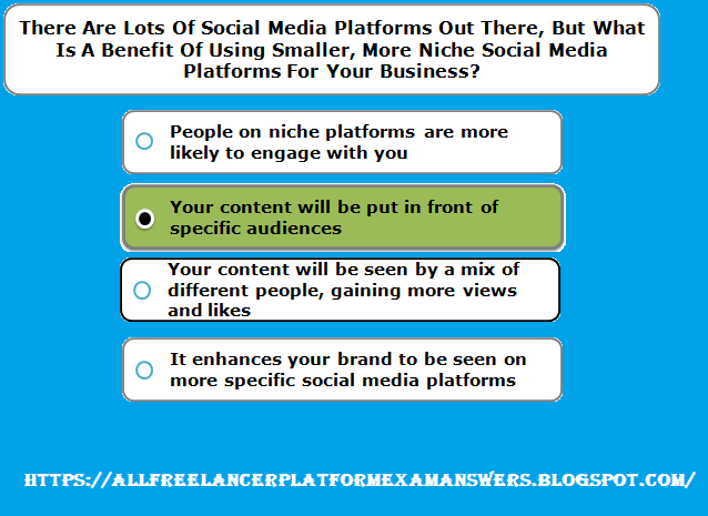 There are lots of social media platforms out there, but what is a benefit of using smaller, more niche social media platforms for your business