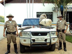 pmraul220211