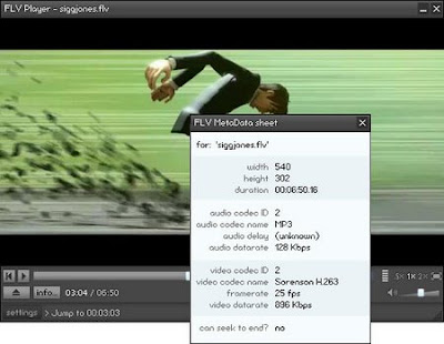 Flv Player Download. FLV Player 2.0.25 Review