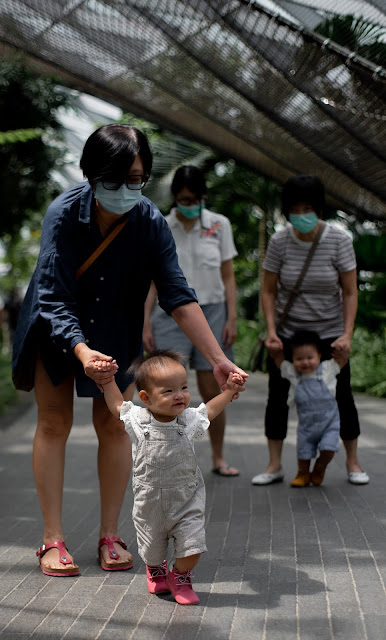 Bringing Babies to Jewel, Changi's Canopy Park
