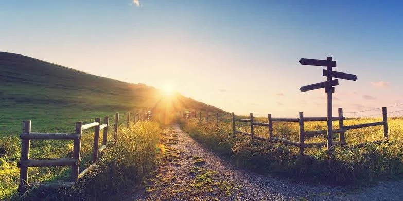 Origin and Development of Life in Hindi Origin and Development of Life in Hindi