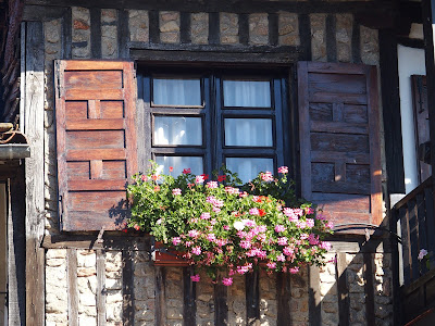 Foto hecha por Alberto Castro en Alberca Salamanca 