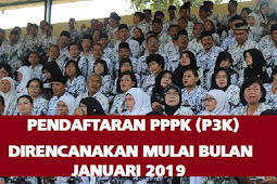 Jadwal Registrasi Pppk Tahun 2019 Mulai 8 Februari 2019,  Pukul 16.00 Wib. Ini Persyaratannya