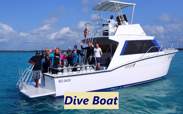 Dive Boat