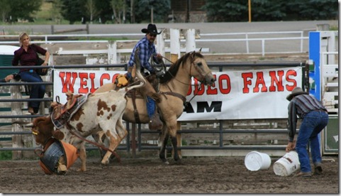 679 steer packing2 (640x366)
