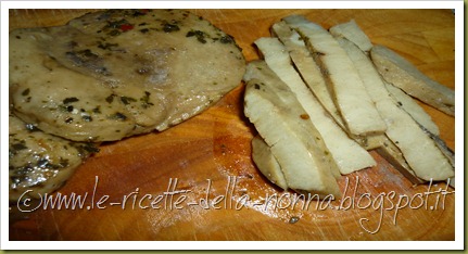 Piadina con seitan alla piastra, cipollotto fresco e insalata verde (2) Piadina con seitan alla piastra, cipollotto fresco e insalata verde (2)