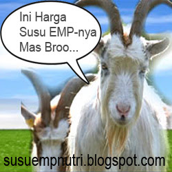 Harga Susu Kambing Etawa