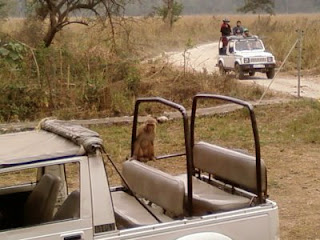 Jim Corbett national Park