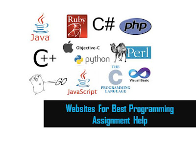 Programming Assignment Help