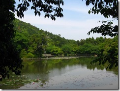 11Japan-Kyoto-Tokyo 095 11Japan-Kyoto-Tokyo 095