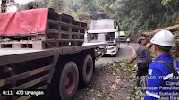 HATI-HATI ! Longsor Di Jalan Bandung - Sumedang Sebabkan Pohon Tumbang