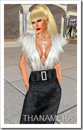 ScreenShot035