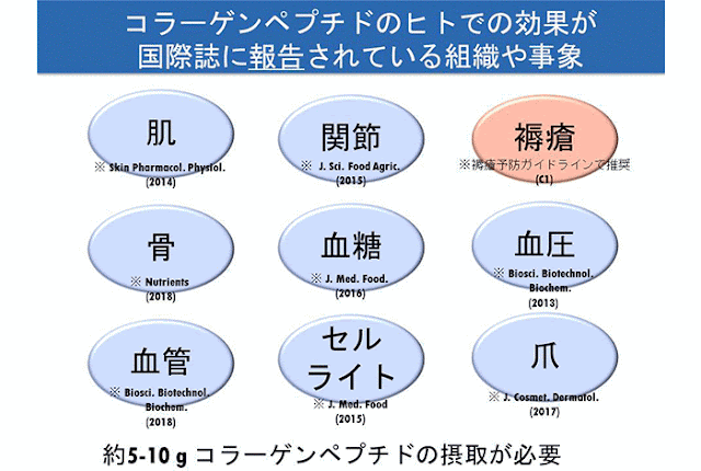 コラーゲンペプチドのヒトでの効果報告