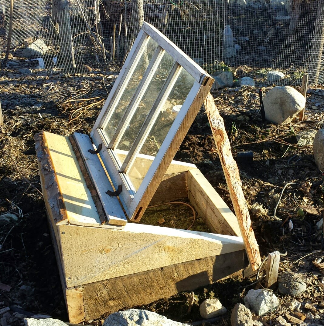 Wood for Food ~ Gardening with the Slow Burn of Rotting Wood