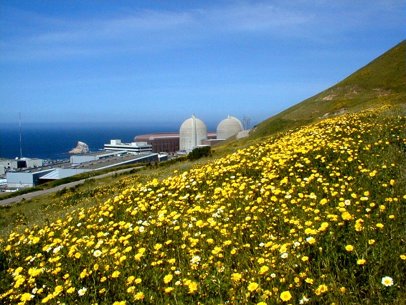 nuclear power. Diablo Canyon Nuclear Power