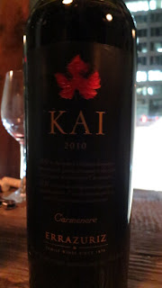 Wine Review of 2010 Errázuriz Kai