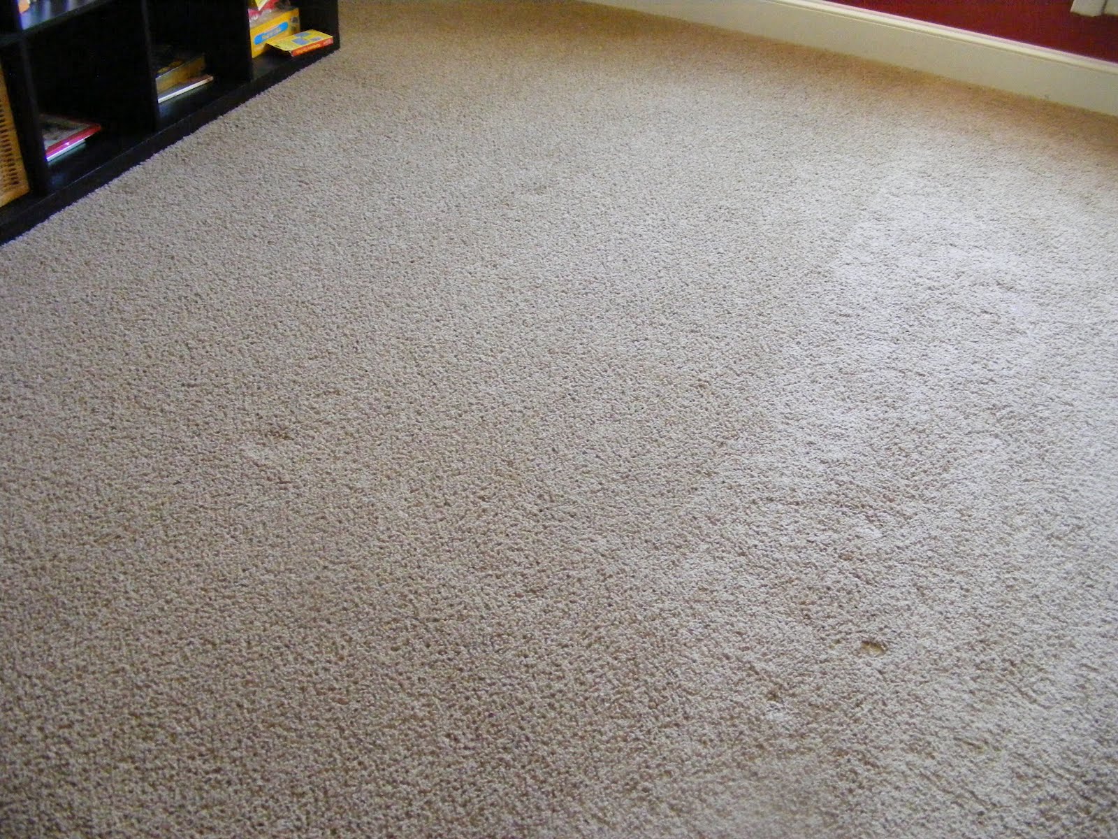 center Cleaning Your Carpet Without a Carpet Cleaner center